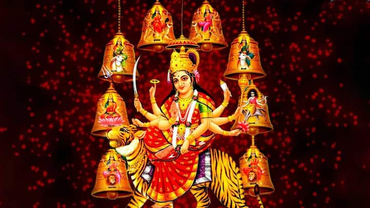 Navratri 2022 Plants: શાસ્ત્રો અનુસાર, 9 એવી ઓષઘી (છોડ) છે જેમાં મા દુર્ગાના 9 સ્વરૂપોનો વાસ માનવામાં આવે છે. આ ઔષધીનો ઉપયોગ કરવાથી માતા પ્રસન્ન થાય છે અને દૈવી ગુણો પ્રાપ્ત થાય છે.