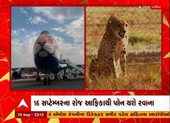 ભારતમાં 75 વર્ષ બાદ આવશે ચિત્તા, PMના જન્મદિવસે ચિત્તાને લવાશે ભારત
