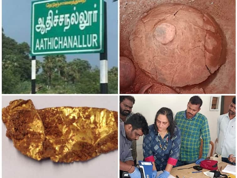 Forehead pure gold found in Adichanallur excavations information on study ஆதிச்சநல்லூர் அகழாய்வில் கிடைத்த நெற்றிப்பட்டம் தூய தங்கம் - ஆய்வில் தகவல்