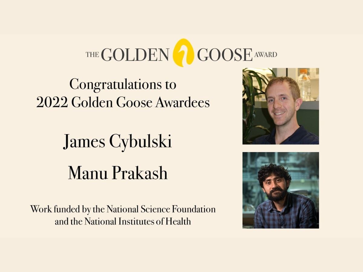 Golden Goose Awards Honour 11 Researchers For Breakthroughs in Eye Surgery, Non-Opioid Pain Reliever, And More