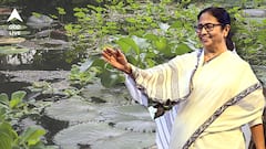 ‘কচুরিপানা শুকিয়ে ব্যাগ, খাবার থালা তৈরি হচ্ছে, ভাবতে পারেন?'