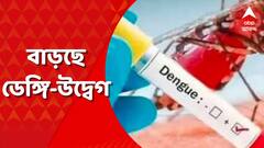 পুজোর মুখে ভয়াবহ ডেঙ্গি, আরও এক আক্রান্তের মৃত্যু