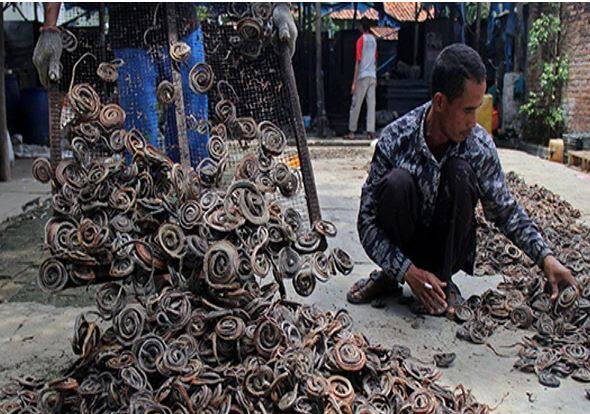 The farmers of China's Zhejiang village did more than 30 lakh poisonous snakes farming every year for their living Snake Farming ਸੱਪਾਂ ਦੀ ਖੇਤੀ: ਗਾਵਾਂ-ਮੱਝਾਂ-ਬੱਕਰੀਆਂ ਛੱਡੋ! ਇਸ ਪਿੰਡ ਦੇ ਲੋਕ ਹਰ ਸਾਲ ਪਾਲਦੇ 30 ਲੱਖ ਜ਼ਹਿਰੀਲੇ ਸੱਪ