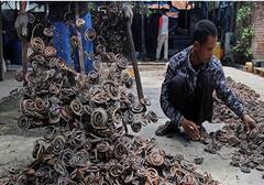 ਸੱਪਾਂ ਦੀ ਖੇਤੀ: ਗਾਵਾਂ-ਮੱਝਾਂ-ਬੱਕਰੀਆਂ ਛੱਡੋ! ਇਸ ਪਿੰਡ ਦੇ ਲੋਕ ਹਰ ਸਾਲ ਪਾਲਦੇ 30 ਲੱਖ ਜ਼ਹਿਰੀਲੇ ਸੱਪ