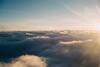 World Ozone Day 2022 : का साजरा केला जातो World Ozone Day? जाणून घ्या त्यामागचं कारण...