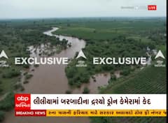 અમરેલીના લીલીયા તાલુકામાં ધોધમાર વરસાદથી ખેતરોમાં પાણી ભરાતા બરબાદી