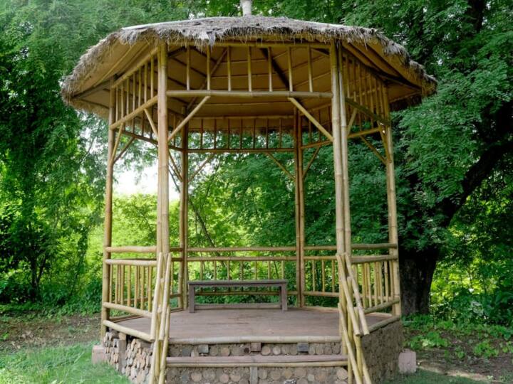 'वानिल इको डेन' (Vanil Eco Den) कैसे जा सकते हैं: यहां आप टैक्सी, निजी वाहन या किसी अन्य सड़क परिवहन मोड का उपयोग करके सड़क मार्ग से 'वानिल इको डेन' (Vanil Eco Den) तक पहुंच सकते हैं. Photo Credit- Gujarat Tourism