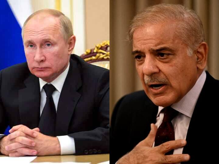 SCO Summit Russia ready to help Pakistan, pipeline gas problem can be solved SCO Summit: पाकिस्तान की मदद के लिए रूस तैयार, कहा- पाइपलाइन गैस की समस्या का हो सकता है निदान