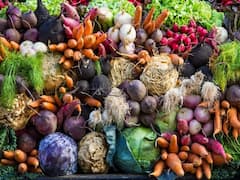 हल्की ठंड में बंपर उत्पादन देंगी ये सब्जियां, अभी से करेंगे बुवाई तो होगी दमदार कमाई