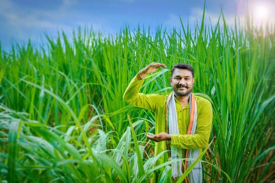 भारत- दुनियाभर के देशों ने लाख कृषि तकनीकें विकसित कर ली हों, लेकिन भारत ने उन तकनीकों का सही इस्तेमाल करके मिसाल पेश की है. यहां खेती की आधुनिक तकनीकों के साथ-साथ परंपरागत विधियां भी काफी मशहूर है. आज पूरी दुनिया के किसान और वैज्ञानिक भारत आकर जैविक और प्राकृतिक खेती का ज्ञान ले रहे हैं. हमारे देश में खेती सिर्फ एक व्यवसाय नहीं है, बल्कि 58% भारतीयों की आजीविका का जरिया बन चुका है. यहां ग्रामीण लोगों ने खेती का नया इतिहास रच दिया है, वहीं डिग्रीधारक युवा और रिटायर्ड प्रोफेशनल भी खेती को नये आयाम दे रहे हैं. आंकडों की मानें तो भारत ने बागवानी के क्षेत्र में काफी विकास किया है, जिसके चलते भारत को सबसे बड़े फल उत्पादक की ख्याति प्राप्त है. यहां के फल दुनियाभर में निर्यात किया जा रहे हैं. खासकर केला, अमरूद, आम, नींबू, पपीता और मटर जैसी सब्जियों के साथ-साथ अदरक, काली मिर्च और मिर्च समेत कई फसलों का उत्पादन किया जाता है. भारत दूध उत्पादन में पहला, सूखे मेवों के उत्पादन में दूसरा, मछली उत्पादन में तीसरा, अंडा उत्पादन में चौथा और मुर्गी उत्पादन में पांचवा स्थान रखता है.