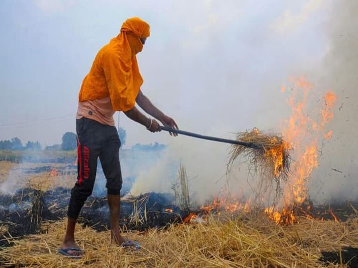 Delhi News: पंजाब-दिल्ली के किसानों को अब नहीं जलानी पड़ेगी पराली, AAP डीकंपोजर से करेगी पराली का खात्मा Delhi, Punjab governments join hands to tackle stubble burning, destroy it with bio-decomposers Delhi News: पंजाब-दिल्ली के किसानों को अब नहीं जलानी पड़ेगी पराली, AAP डीकंपोजर से करेगी पराली का खात्मा