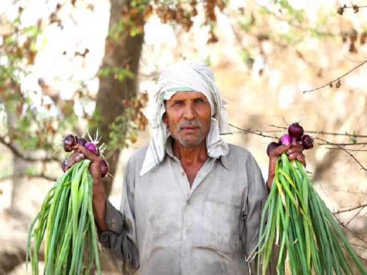 Bihar Farmers getting 50 pc subsidy 98000 per hectare for cultivating onion Subsidy Offer: अब मुनाफे का सौदा बनेगा प्याज, खेती के लिये मिल रहा है 50% तक अनुदान, ऐसे उठायें फायदा