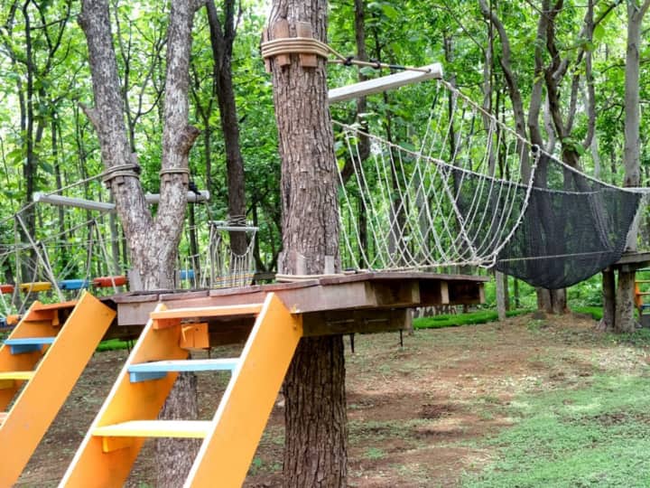 'वानिल इको डेन' (Vanil Eco Den) में पार्किंग स्थल, पीने के लिए पानी, विश्राम हट आदि की भी व्यवस्था की गई है. Photo Credit- Gujarat Tourism