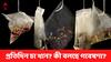 Tea Drinkers Live Longer: চা খেলে বাড়বে আয়ু! কী বলছে গবেষণা?