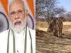Project Tiger: பிரதமர் பிறந்தநாள்: 74 ஆண்டுகளுக்கு பிறகு நமீபியாவிலிருந்து ம.பி வரும் சிறுத்தைகள்!