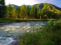 Kashmir Tourist Place: धरती पर जन्नत हैं कश्मीर की ये अनछुई जगहें, जहां आपको कुदरत की खूबसूरती का असली अहसास होगा