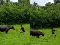 Funny Video: ਮੱਝ ਨੇ ਠੁਕਰਾ ਦਿੱਤਾ ਮੁੰਡੇ ਦਾ ਪ੍ਰਪੋਜਲ! ਫਿਰ ਇਸ ਤਰ੍ਹਾਂ ਸਿਖਾਇਆ ਸਬਕ