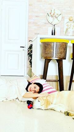 Celebrties with their Pets : செலிப்ரிட்டிகளும் அவர்களது செல்ல பிராணிகளும்!