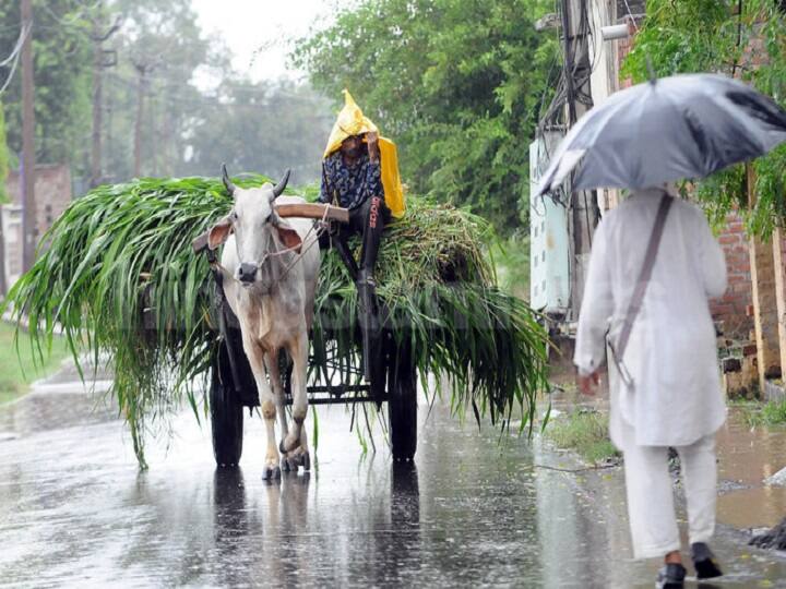 Punjab Weather Forecast Today 16 September 2022 Alert For Light To Moderate Rain in Majha Doaba and East Malwa Punjab Weather Forecast Today: पंजाब में आज भी जारी रहेगा बारिश का सिलसिला, सोमवार से बदलेगा मौसम