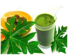 Juice In Dengue: डेंगू के मरीज को पिलाएं ये जूस, तुरंत बढ़ने लगेंगी प्लेटलेट्स