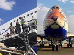 स्पेशल विमान चीतों को लेकर नामीबिया से ग्वालियर के लिए रवाना, कूनो नेशनल पार्क स्वागत के लिए तैयार