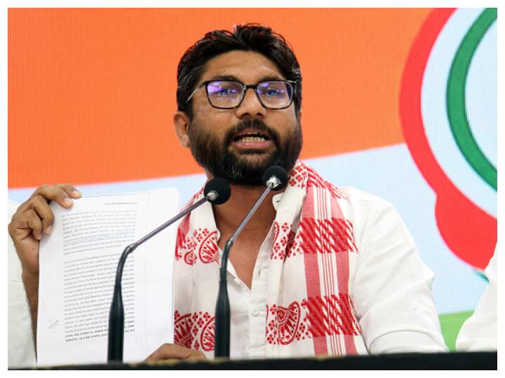 Gujarat: Cong MLA Jignesh Mevani, 18 Others Sentenced To 6-Month Jail In 2016 Roadblock Protest Case Gujarat: Cong MLA Jignesh Mevani, 18 Others Sentenced To 6-Month Jail In 2016 Protest Case