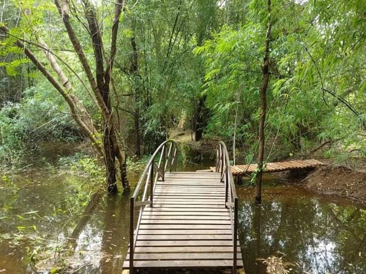 'वानिल इको डेन' (Vanil Eco Den) आकर प्रयटक कभी बोर नहीं होंगे, क्योंकि यहां मनोरंजन के लिए कई प्रकार के जोन बनाये गए हैं. Photo Credit- Gujarat Tourism