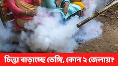 বাড়ছে ডেঙ্গির প্রকোপ, উদ্বেগ কলকাতা ও উত্তর ২৪ পরগনা নিয়ে