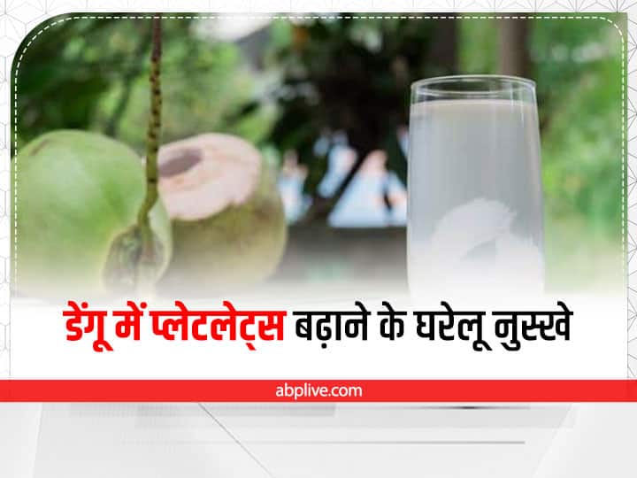 How To Increase Platelets In Dengue Coconut Water Papaya Leaf Juice And Goat Milk Remedies For Dengue: डेंगू में बकरी का दूध, नारियल पानी और पपीते के पत्ते का रस कितना फायदा करता है?