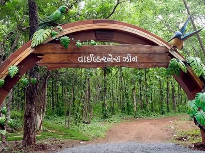 'वानिल इको डेन' (Vanil Eco Den) कैसे पहुंचा जाए: निकटतम बस स्टैंड वंसदा (8 किमी) है, निकटतम रेलवे स्टेशन बिलिमोरा (52 KM) है और निकटतम हवाई अड्डा सूरत (99 किमी) है. Photo Credit- Gujarat Tourism