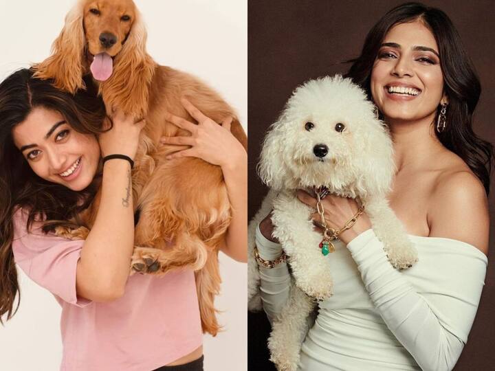 Celebrties with their Pets: திரையுலக பிரபலங்கள் அவர்களது செல்லப் பிராணிகளுடன் இருக்கும் புகைப்படங்கள்