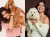 Celebrties with their Pets : செலிப்ரிட்டிகளும் அவர்களது செல்ல பிராணிகளும்!