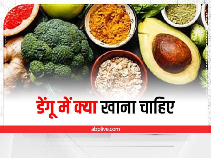 What are the best food for dengue patient  Dengue Fever Diet: डेंगू में क्या खाएं? डायटीशियन से जानें सही सलाह