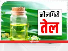 प्रदूषण और धूल-मिट्टी की वजह से हो रही है सांस की समस्या? इस्तेमाल करें नीलगिरी का तेल