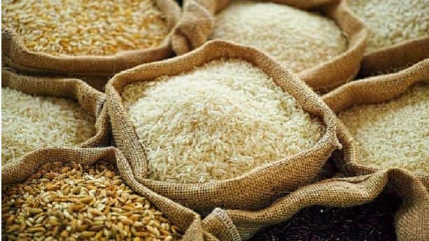 rice for good health in daily diet does eating rice increase your weight marathi news Health Tips : तांदळाचे जसे फायदे तसे तोटेही; जाणून घ्या अति प्रमाणात भात खाण्याचे दुष्परिणाम