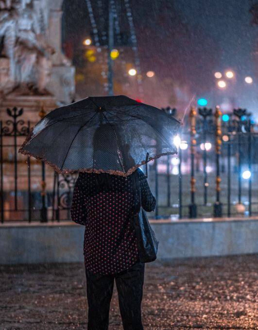 मुंबईसह राज्याच्या विविध भागात पावसाची जोरदार हजेरी