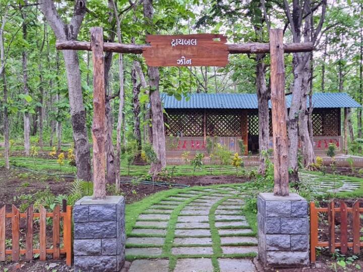 'वानिल इको डेन' (Vanil Eco Den) जाने का सबसे अच्छा समय: यहां जाने के लिए अच्छा समय जुलाई से मार्च के बीच माना जाता है. Photo Credit- Gujarat Tourism