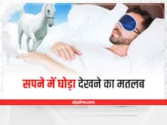 Swapna Shastra: सपने में दिखे घोड़ा तो जल्द मिल सकती है सफलता, स्वप्नशास्त्र से जानें मतलब