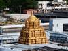 Tirumala News: ఆకాశ గంగ నుండి శ్రీవారి ఆలయానికి పవిత్ర జలాలు ఎందుకు తీసుకొస్తారంటే !