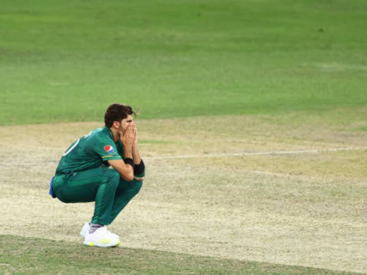 PCB Statement On Shaheen Afridi Shahid Afridi Controversial Statement on Shaheen Afridi Asia Cup Injury PCB Issues Statement To Refute Shahid Afridi's 'Shaheen Paying His Own Rehab' Claim