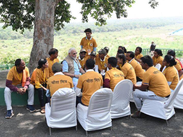 These cheetahs were handed over to you as we have full faith in you; People will not break my faith in them: PM Modi after releasing cheetahs flown from Namibia, in Kuno national park (Source: Twitter@narendramodi)