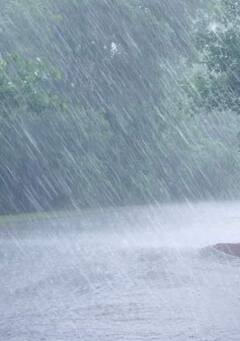 Photo : राज्याच्या विविध भागात पावसाची जोरदार हजेरी