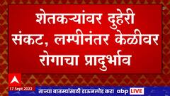 Jalgaon Banana Crop: जळगावातील हजारो हेक्टरवरील कोळीचं पिक धोक्यात ABP Majha