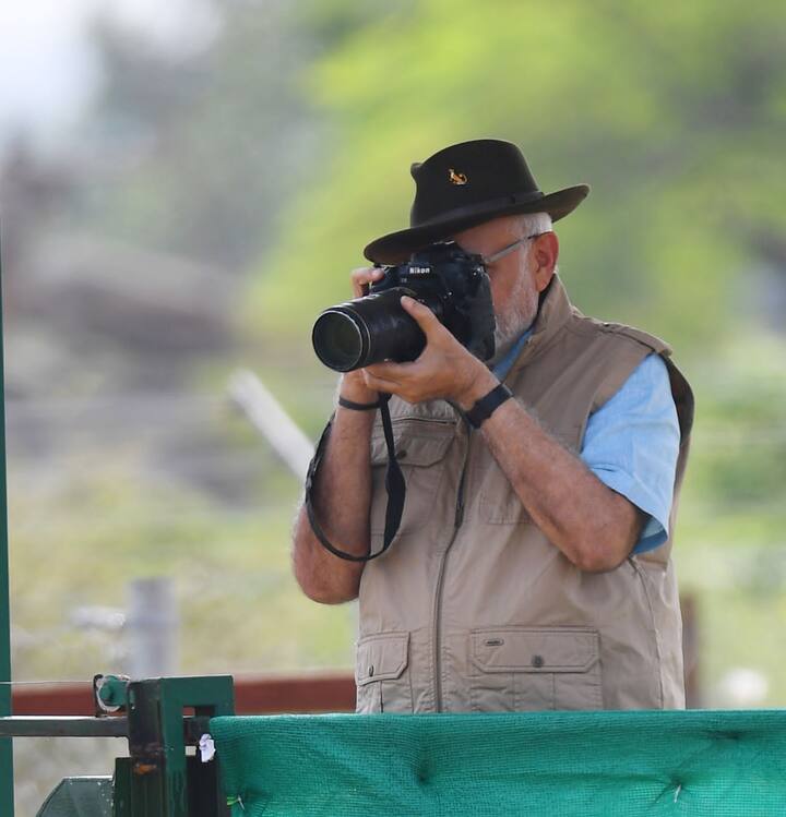இந்நிலையில், 70 ஆண்டுகளுக்குப் பிறகு ’ப்ராஜக்ட் சீட்டா’ எனும் சிவிங்கிப் புலிகள் மறுஅறிமுகத் திட்டத்தின் மூலம் நமீபியாவைச் சேர்ந்த 8 சிவிங்கிப் புலிகள் இந்தியா கொண்டுவரப்பட்டு காடுகளில் விடப்பட்டன