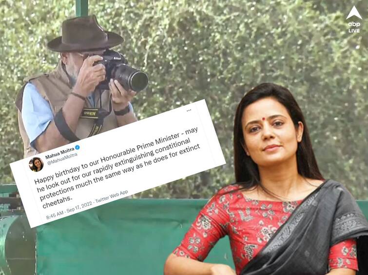 Mahua Moitra wishes Narendra Modi on Birthday with Cheetah dig Mahua Moitra: চিতা তো এল, আর সংবিধান! জন্মদিনের শুভেচ্ছায় জানিয়েও মোদিকে খোঁচা মহুয়ার