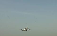 PM Modi Birthday: ભારતમાં સાત દાયકા બાદ જોવા મળશે ચિત્તા, ગ્વાલિયર પહોંચ્યું સ્પેશિયલ પ્લેન, જુઓ તસવીરો