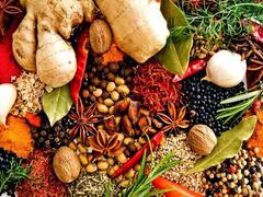 11 तरह के मसाले खोलेंगे तरक्की के द्वार, यहां पर खेती के लिये 48,000 रुपये दे रही है सरकार