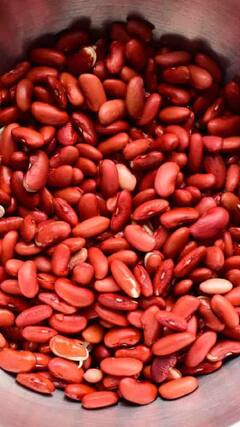 Health Tips : रोजच्या जेवणातील राजम्याचे 'हे' आहेत आश्चर्यकारक फायदे