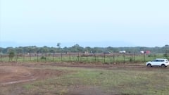 Abp news Special coverage from Kuno National Park