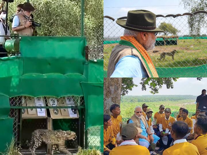 Prime Minister Narendra Modi released cheetahs flown in from Namibia to Kuno National Park on Saturday, making it the highlight of his 72nd birthday.